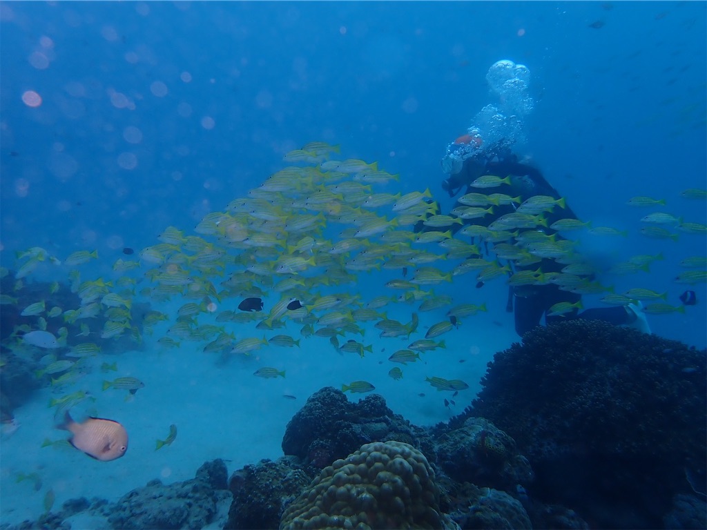 f:id:keikostyle:20210628145320j:image