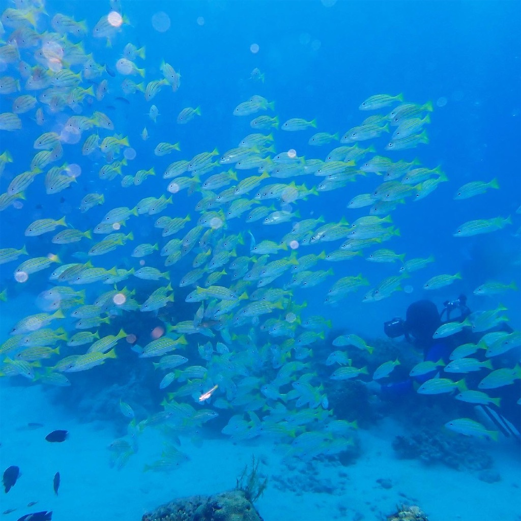 f:id:keikostyle:20210628145327j:image