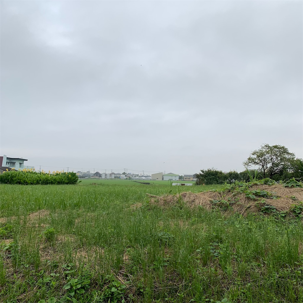 f:id:keikostyle:20210630061723j:image