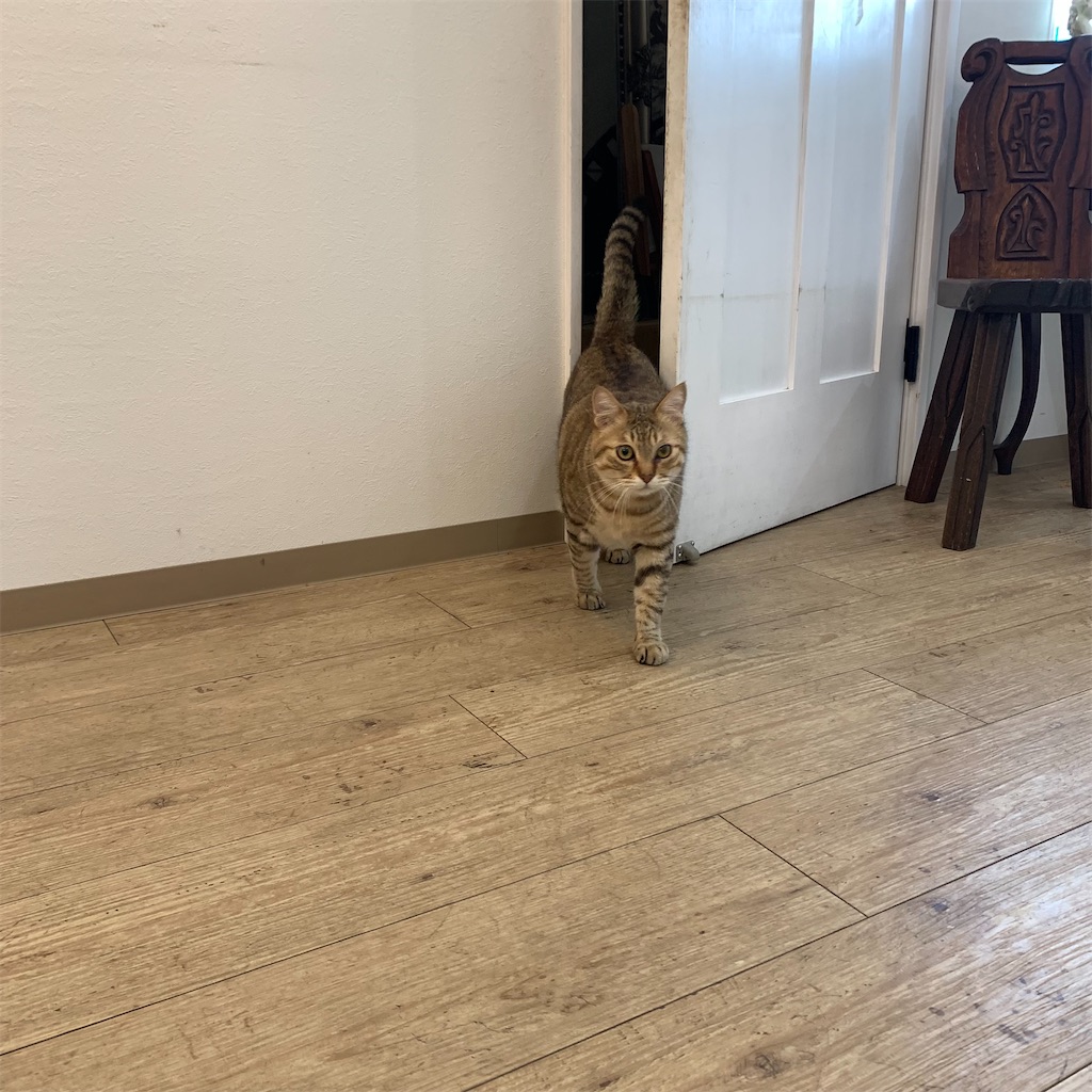 f:id:keikostyle:20210704184412j:image