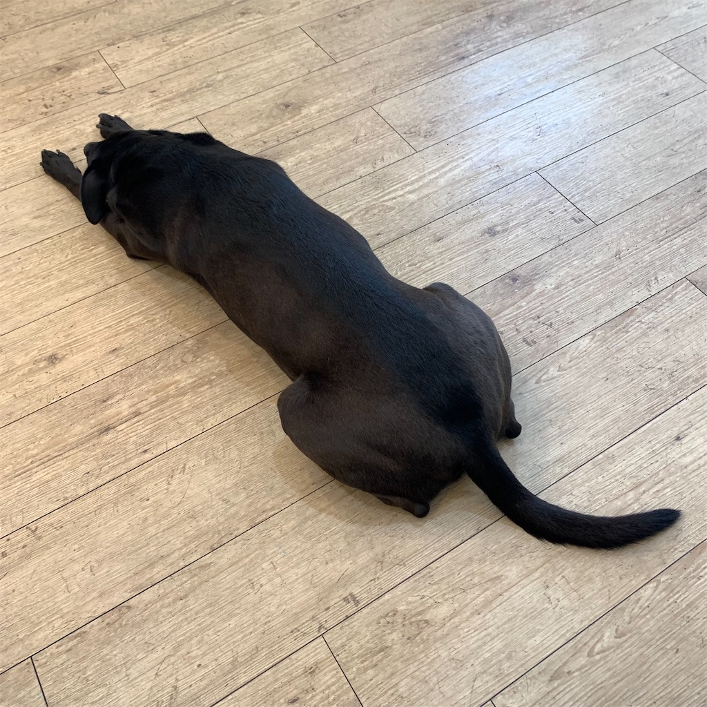 f:id:keikostyle:20210704184419j:image