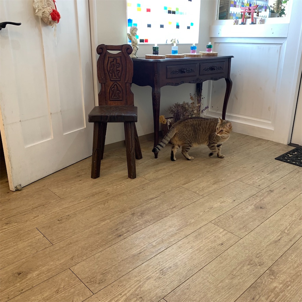 f:id:keikostyle:20210704184423j:image