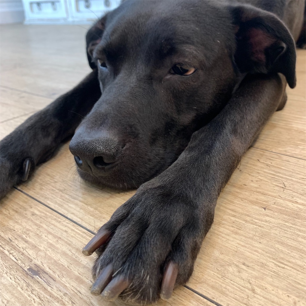 f:id:keikostyle:20210704184431j:image