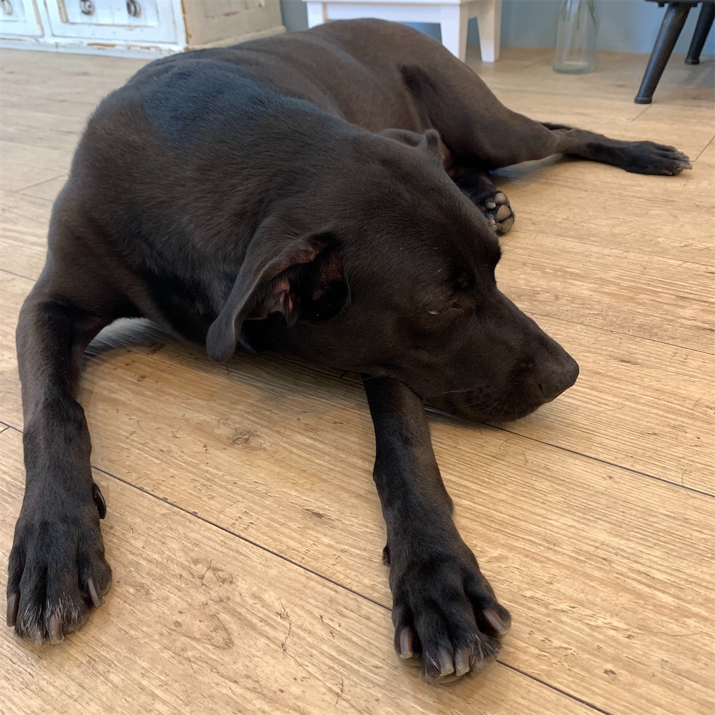 f:id:keikostyle:20210704184434j:image