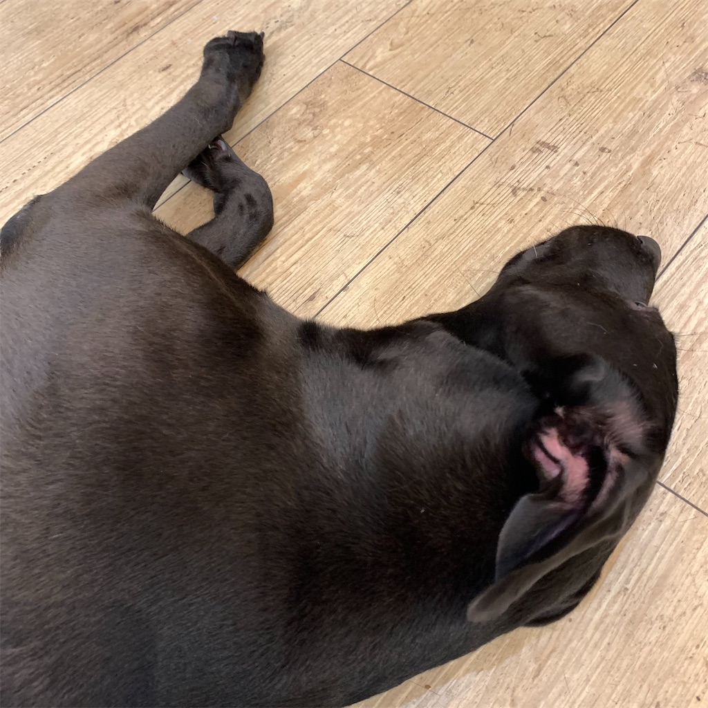 f:id:keikostyle:20210704184442j:image