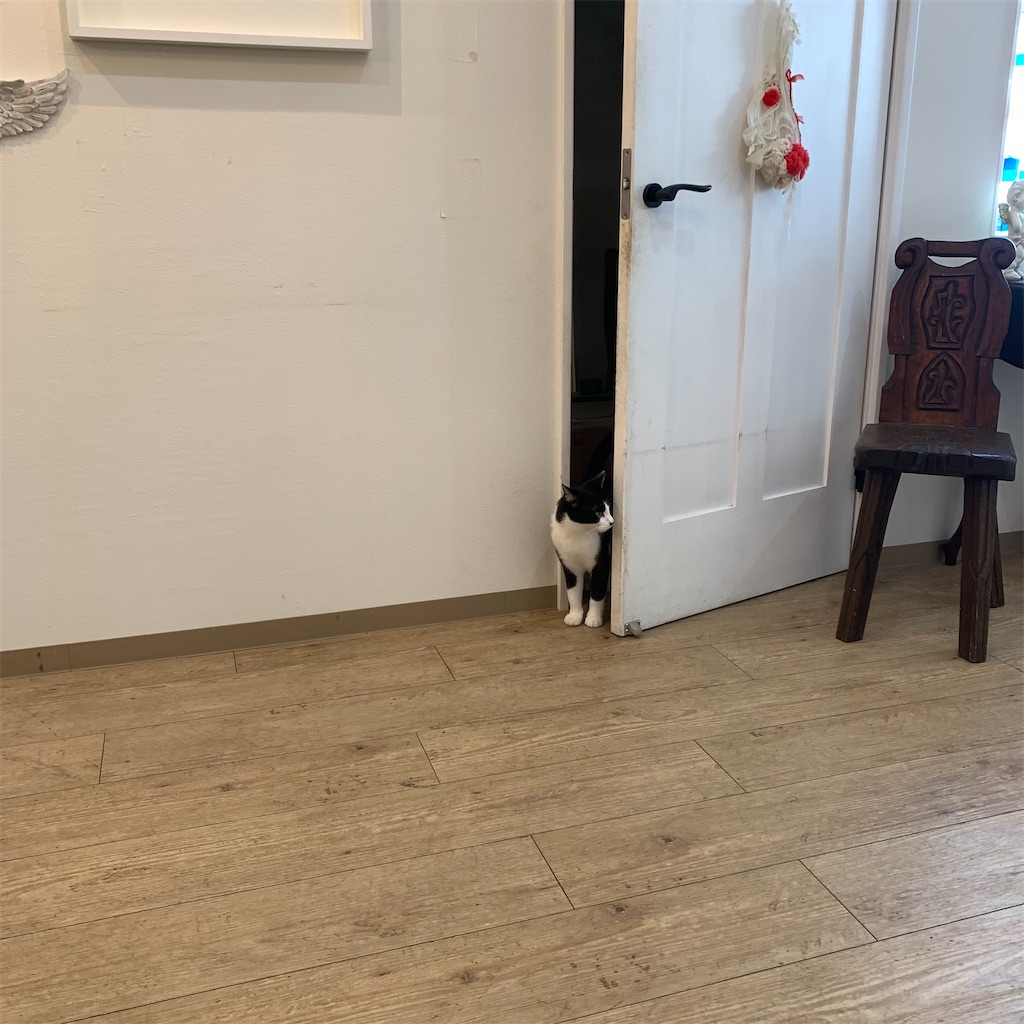 f:id:keikostyle:20210704184446j:image