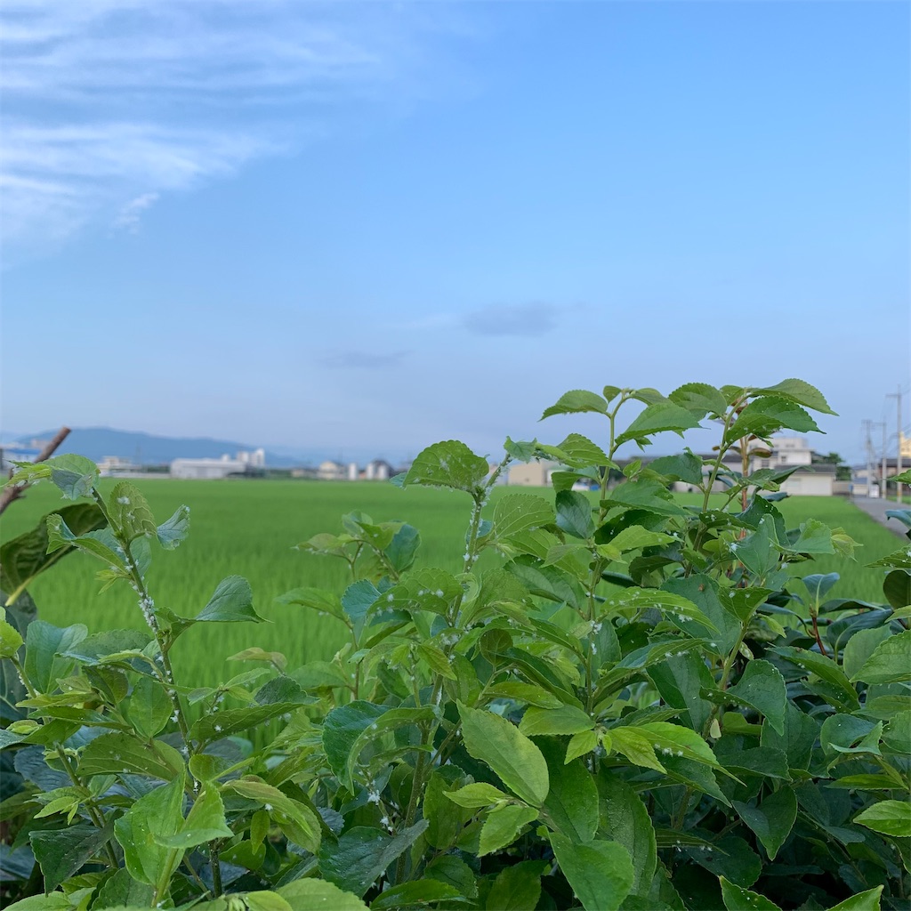 f:id:keikostyle:20210711064132j:image