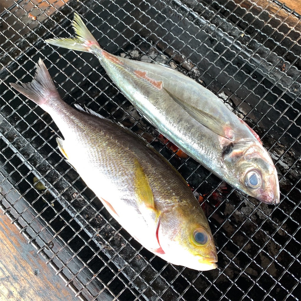 f:id:keikostyle:20210718131023j:image