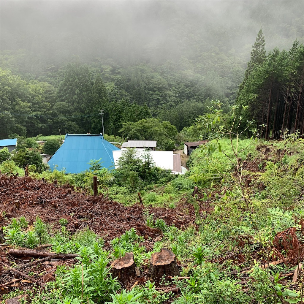 f:id:keikostyle:20210718204809j:image