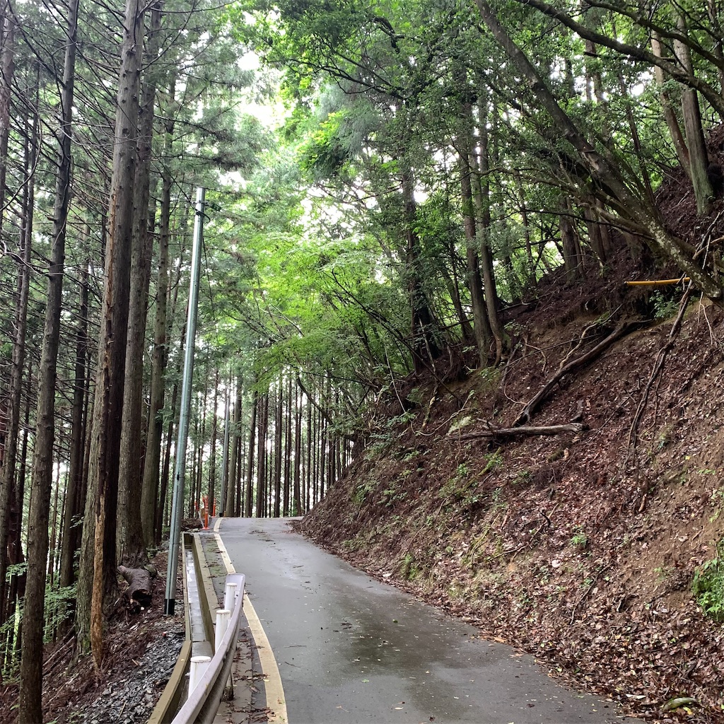 f:id:keikostyle:20210718205040j:image