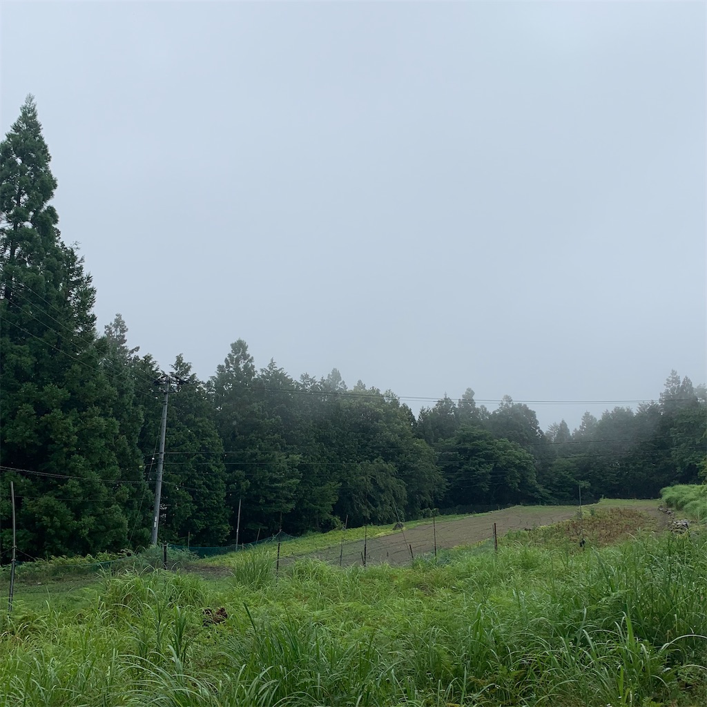 f:id:keikostyle:20210718205044j:image