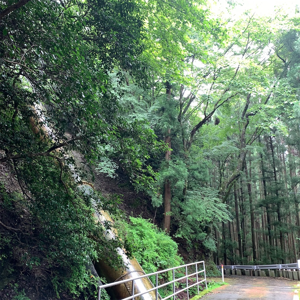 f:id:keikostyle:20210718205121j:image