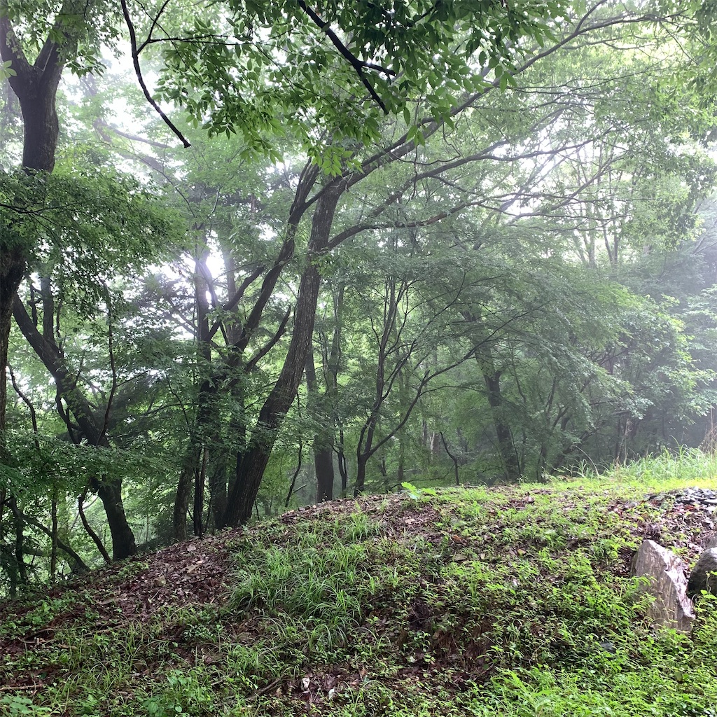 f:id:keikostyle:20210718205136j:image
