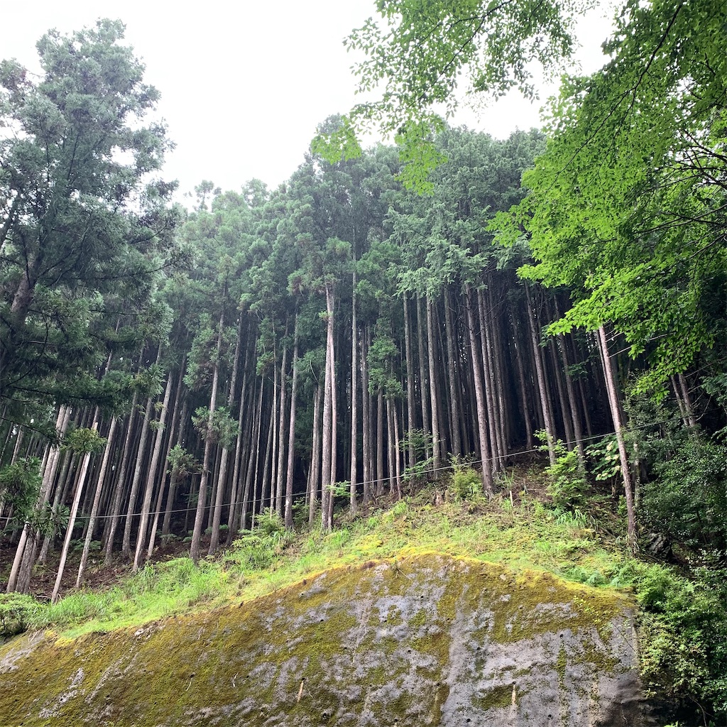 f:id:keikostyle:20210718205220j:image