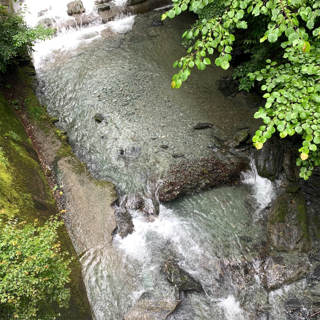 f:id:keikostyle:20210718205225j:image