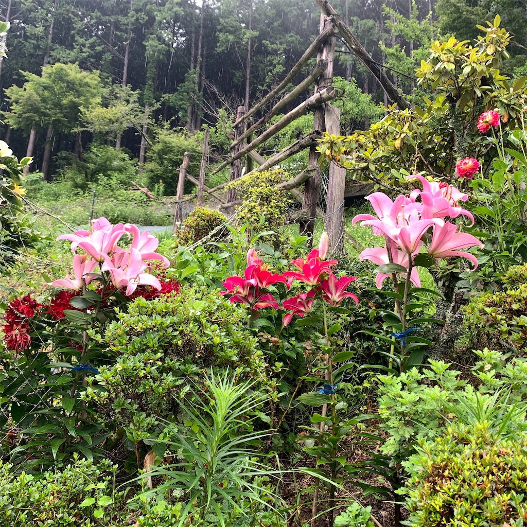 f:id:keikostyle:20210718205717j:image