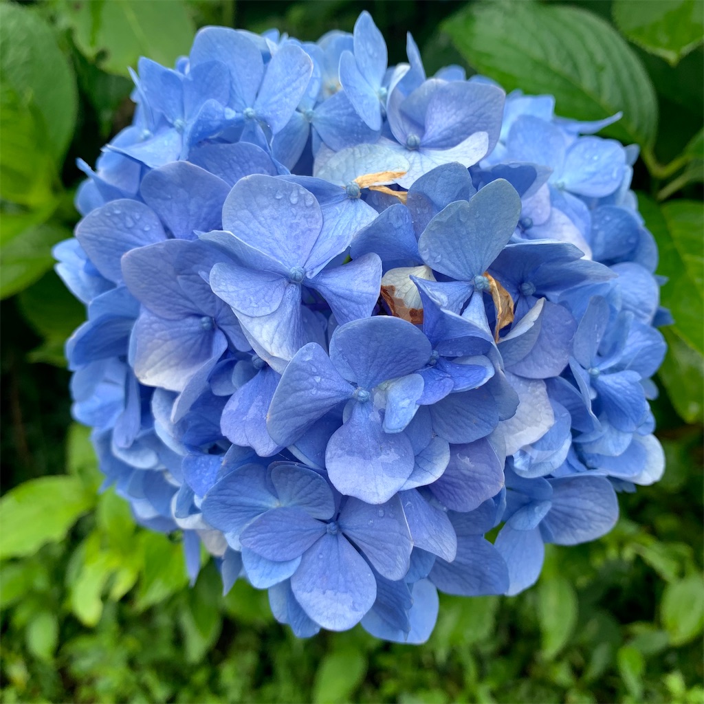 f:id:keikostyle:20210718205731j:image