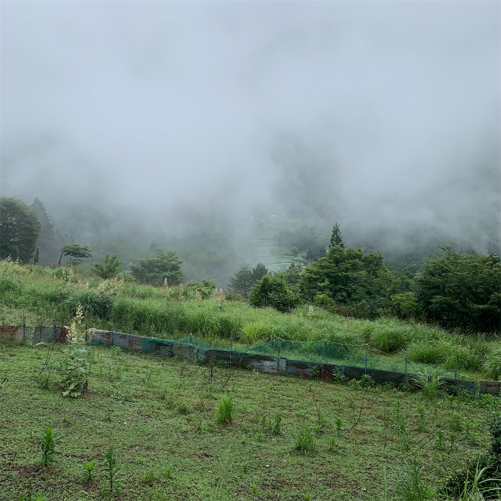 f:id:keikostyle:20210718205742j:image