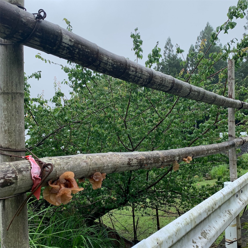 f:id:keikostyle:20210718205804j:image