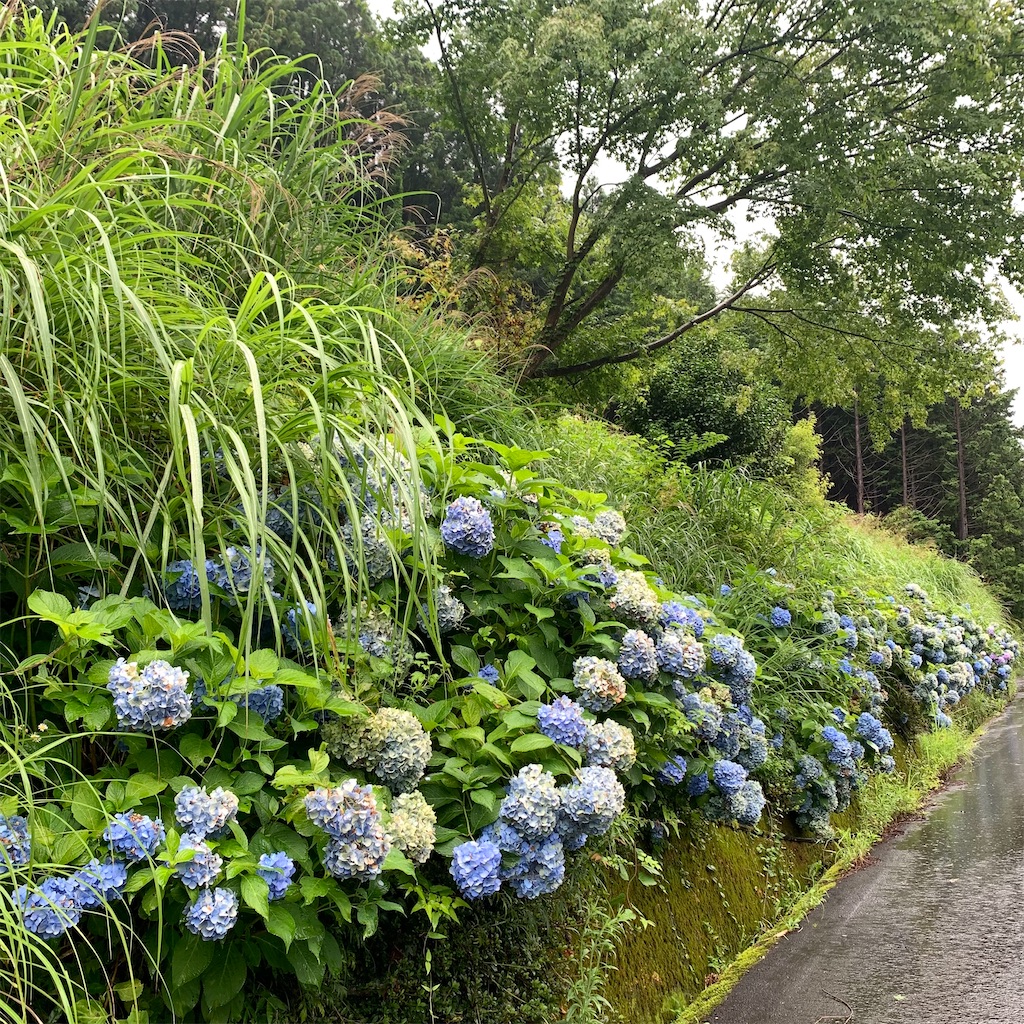 f:id:keikostyle:20210718205833j:image