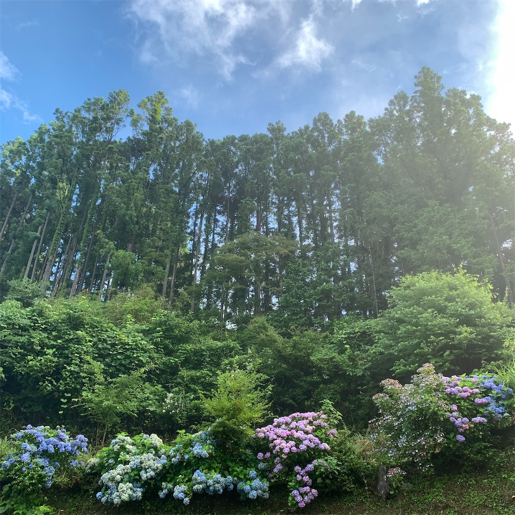 f:id:keikostyle:20210719063924j:image