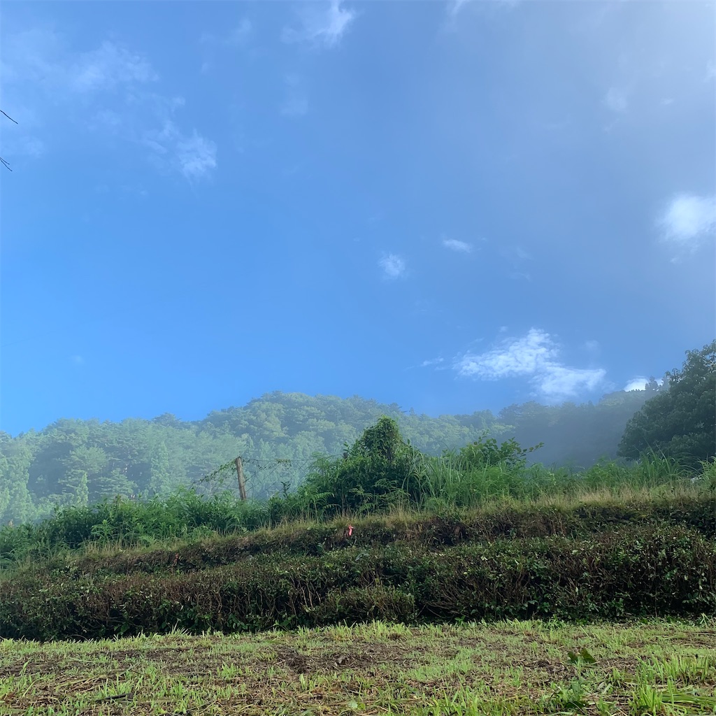 f:id:keikostyle:20210719063956j:image