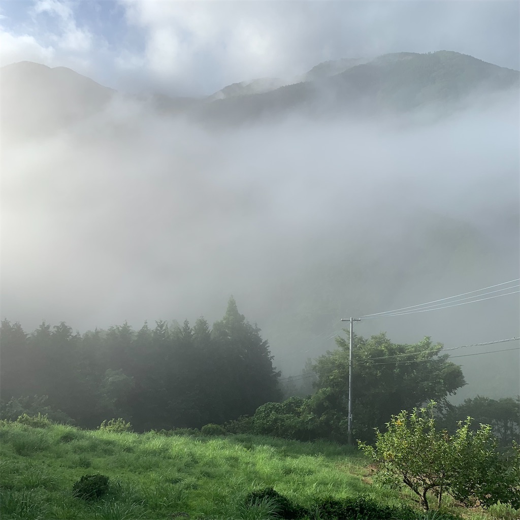 f:id:keikostyle:20210719064000j:image
