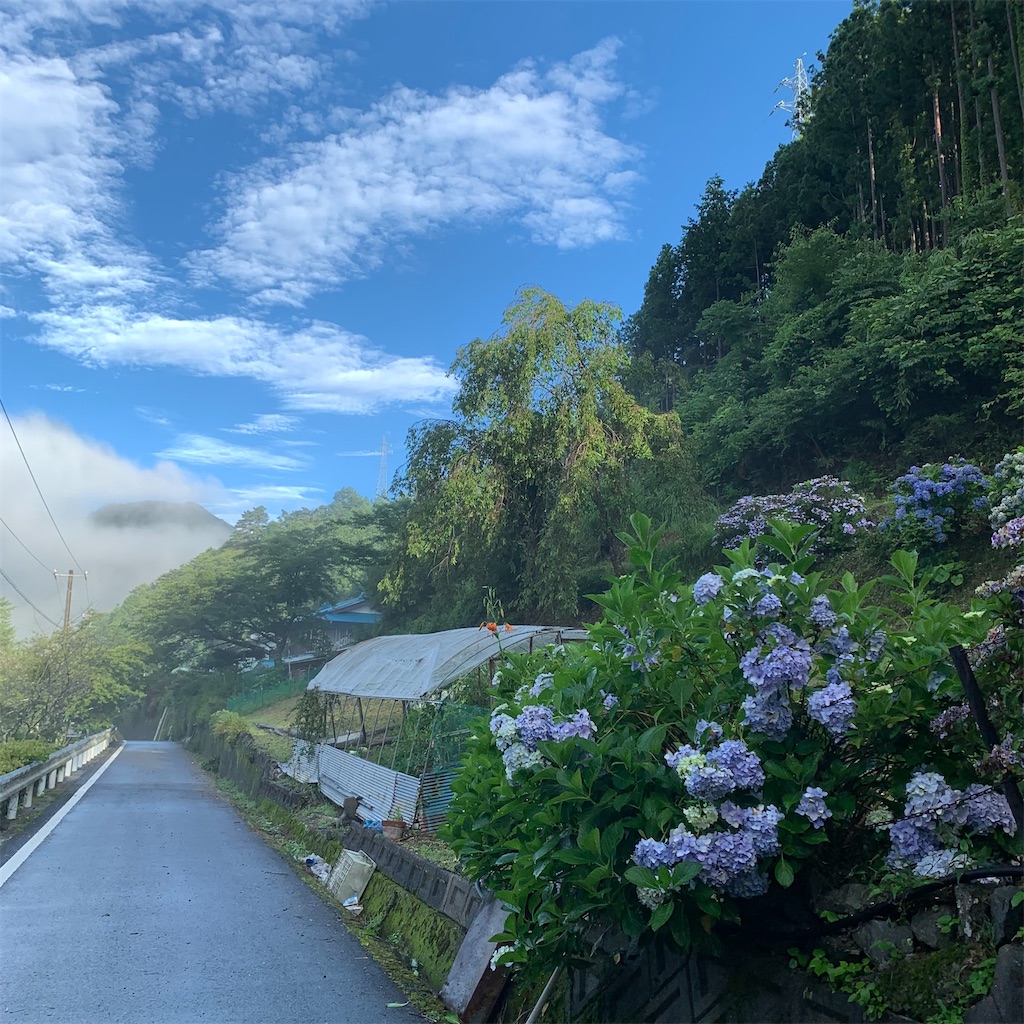 f:id:keikostyle:20210719064111j:image
