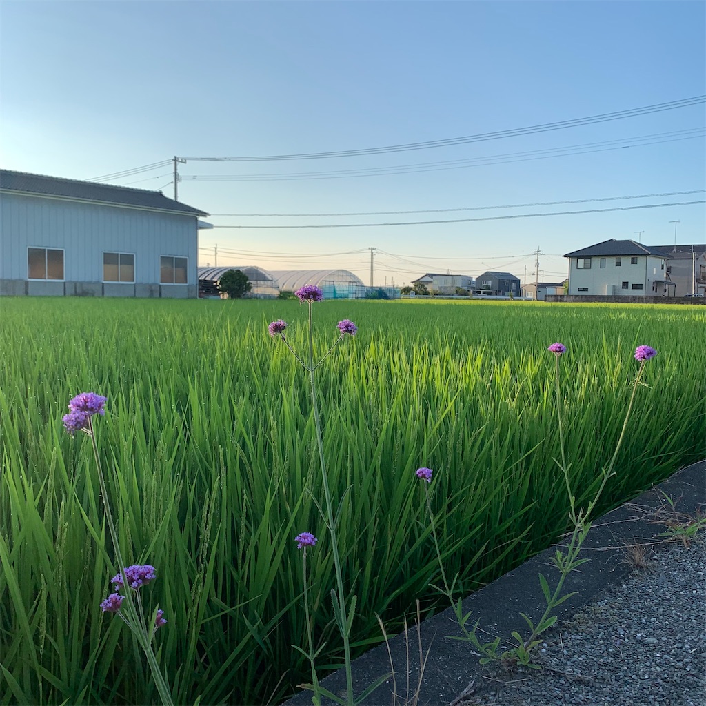 f:id:keikostyle:20210726063132j:image