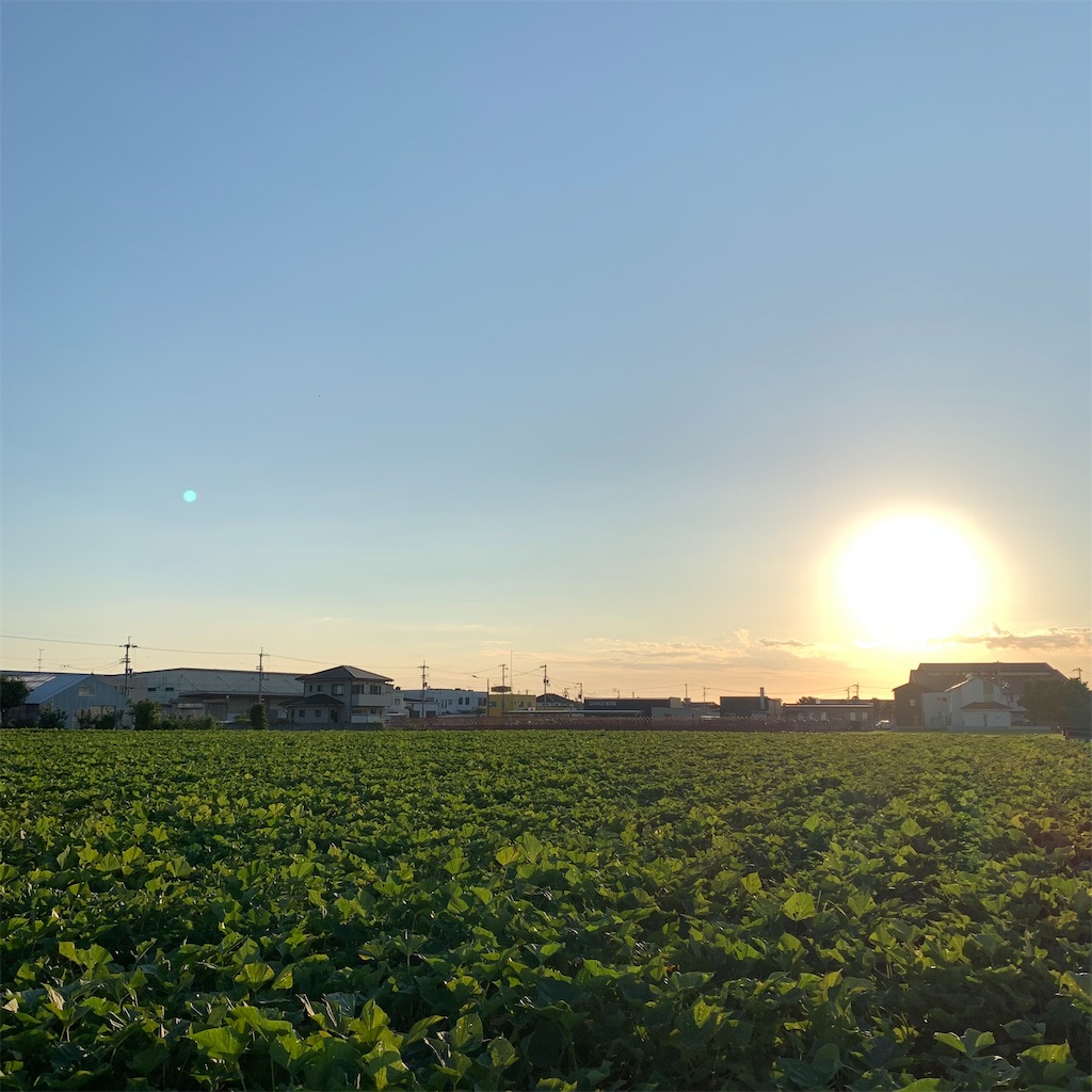 f:id:keikostyle:20210726063208j:image