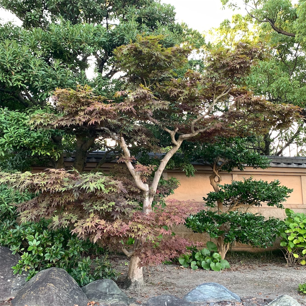 f:id:keikostyle:20210726063219j:image
