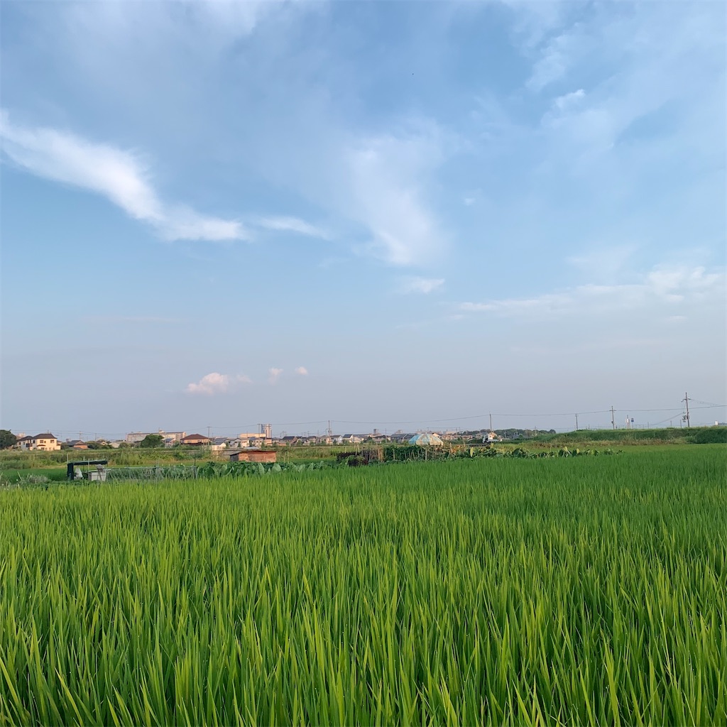 f:id:keikostyle:20210801061423j:image