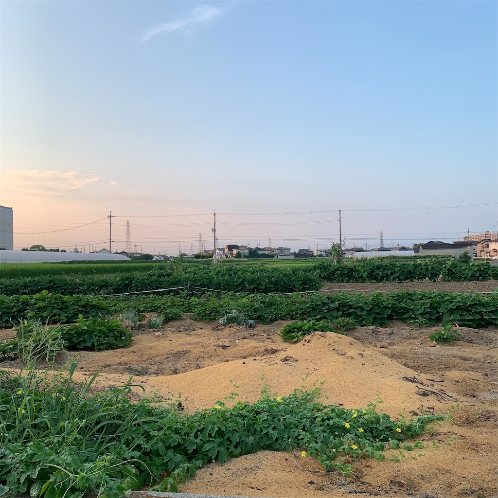 f:id:keikostyle:20210801061433j:image
