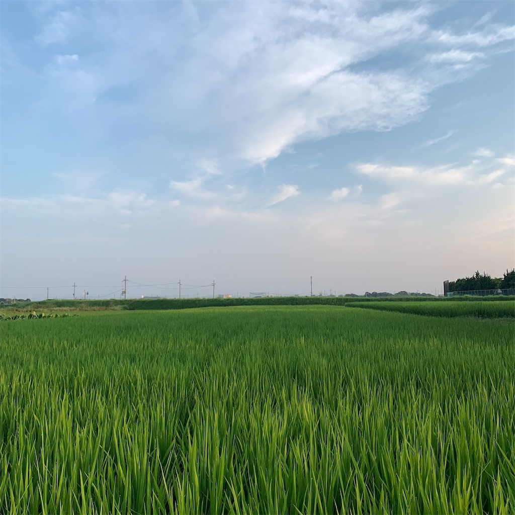 f:id:keikostyle:20210801061503j:image