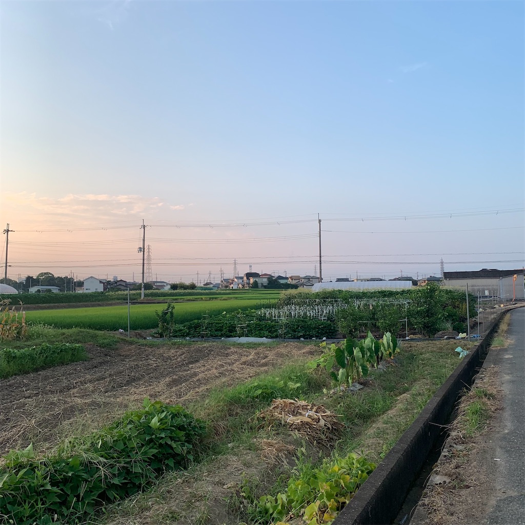f:id:keikostyle:20210801061516j:image