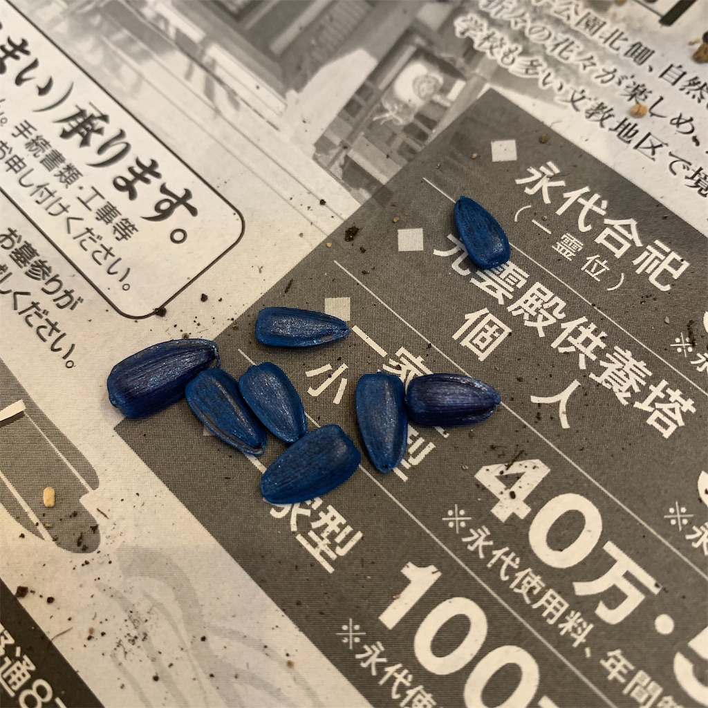 f:id:keikostyle:20210801084257j:image