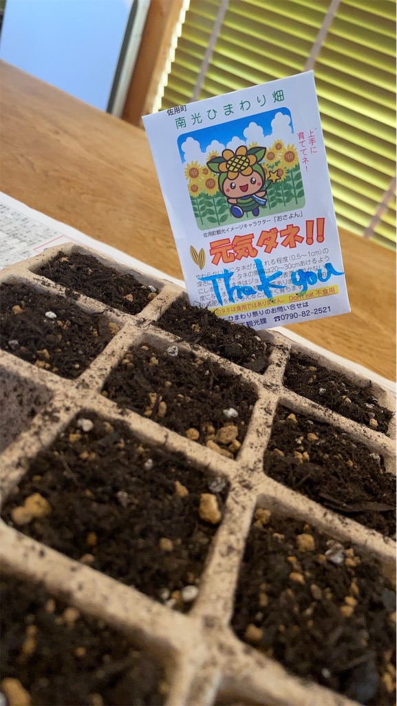 f:id:keikostyle:20210801084300j:image