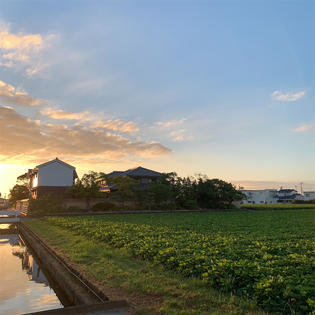 f:id:keikostyle:20210805062850j:image