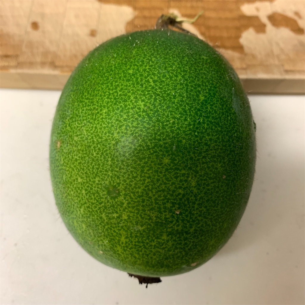 f:id:keikostyle:20210811195340j:image