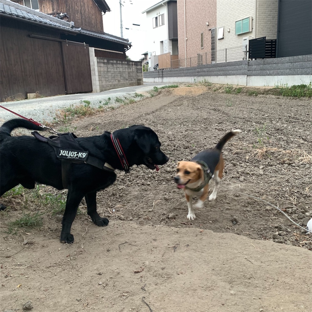 f:id:keikostyle:20210820161526j:image