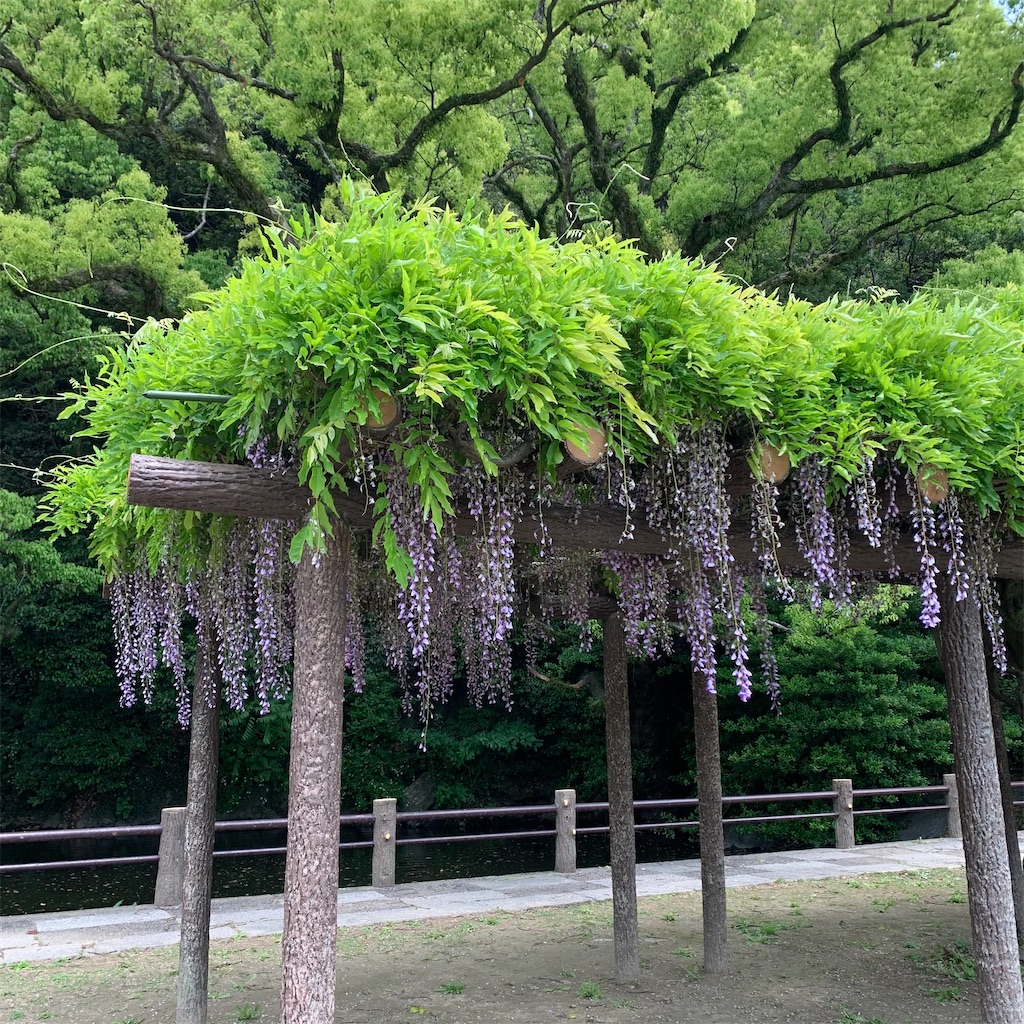 f:id:keikostyle:20210822103300j:image