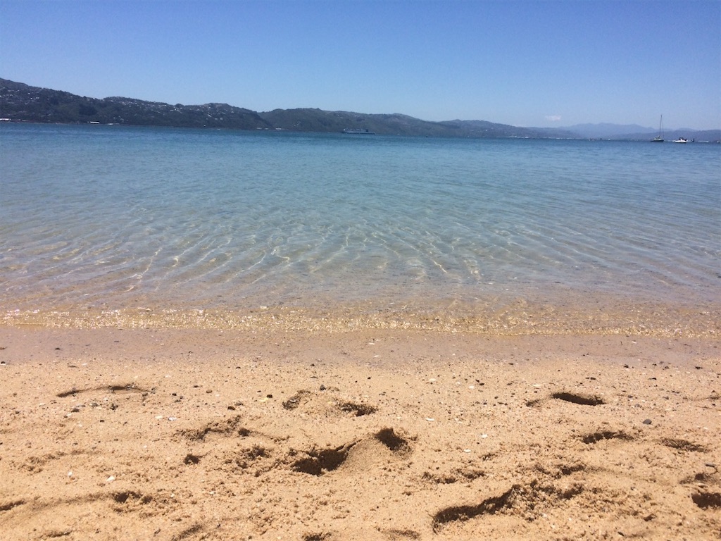 f:id:keikostyle:20210822103831j:image