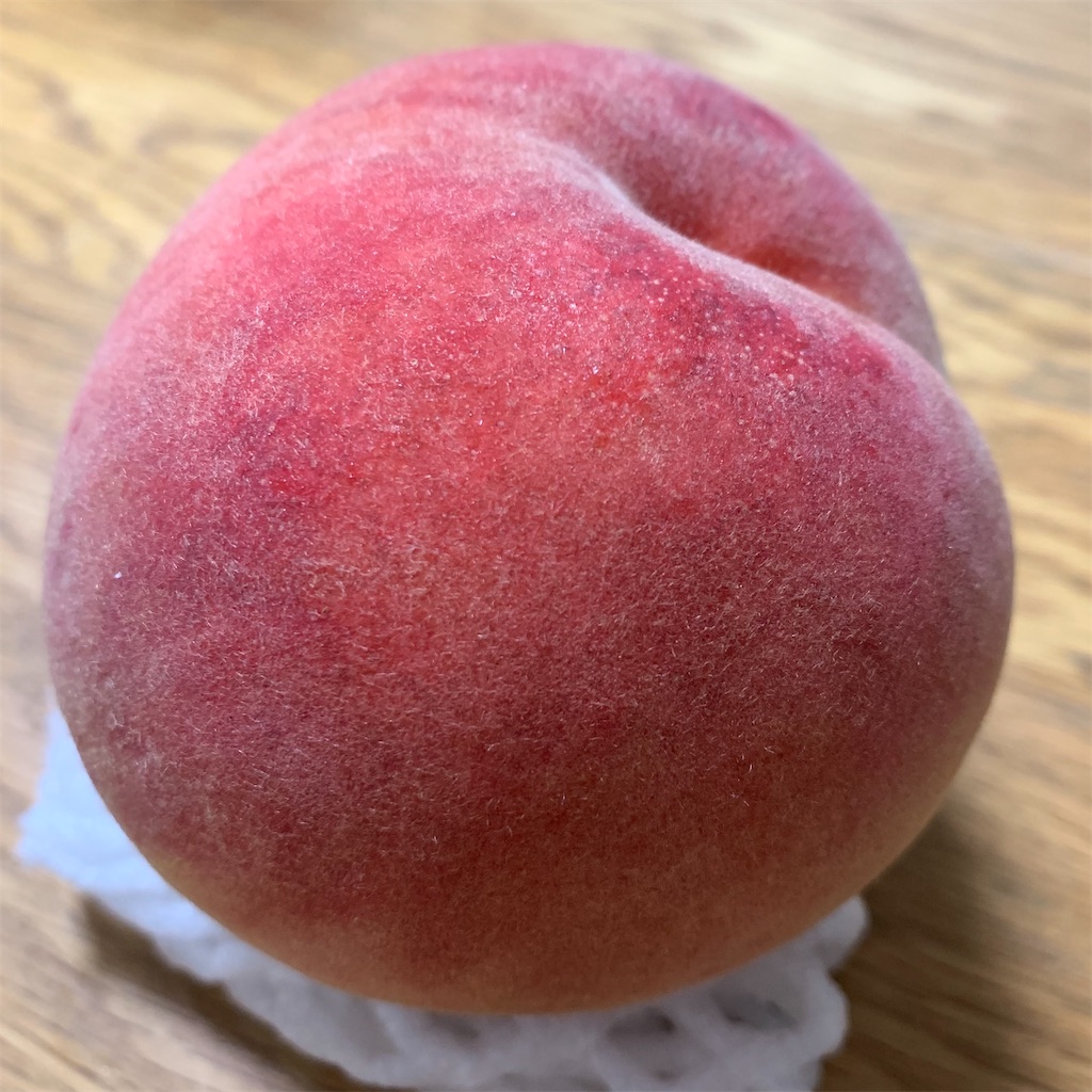 f:id:keikostyle:20210826164311j:image f:id:keikostyle:20210826164311j:image