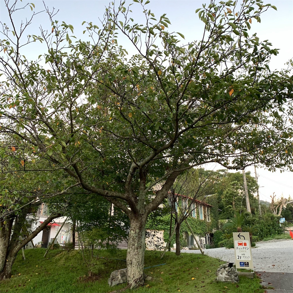 f:id:keikostyle:20210828060921j:image