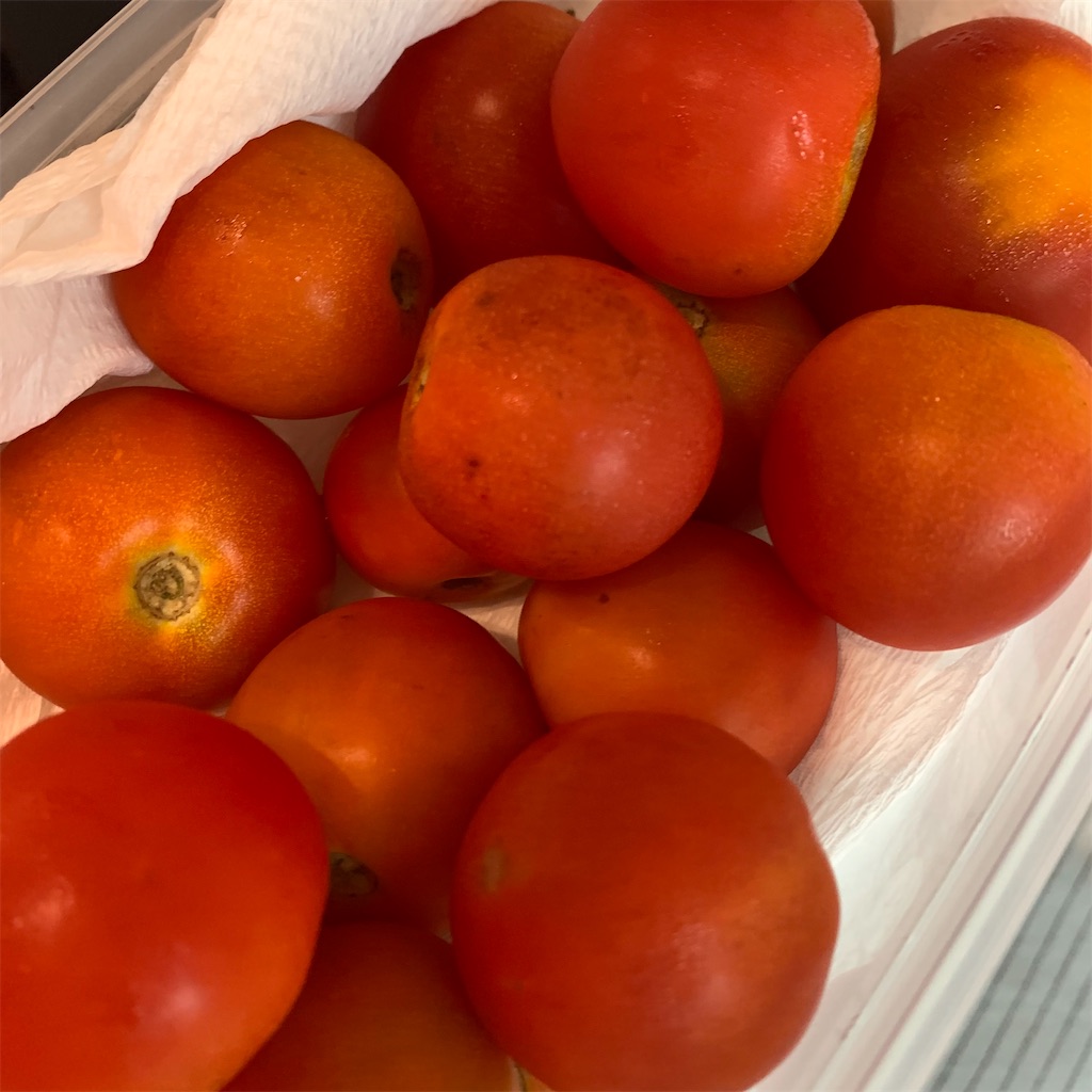 f:id:keikostyle:20210829124825j:image