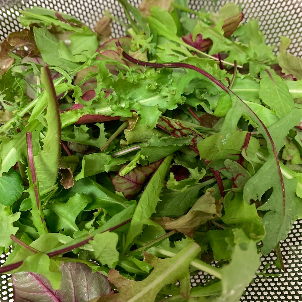 f:id:keikostyle:20210902191328j:image