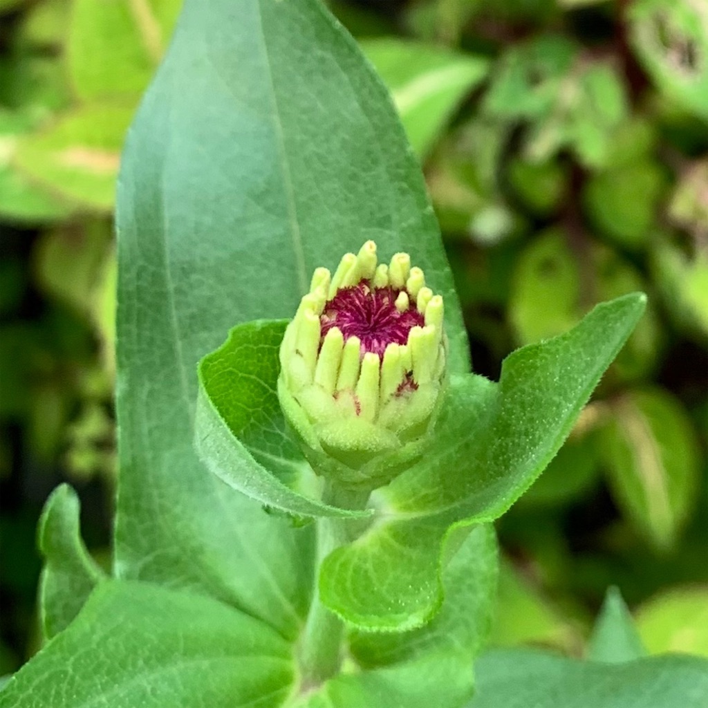 f:id:keikostyle:20210905064010j:image