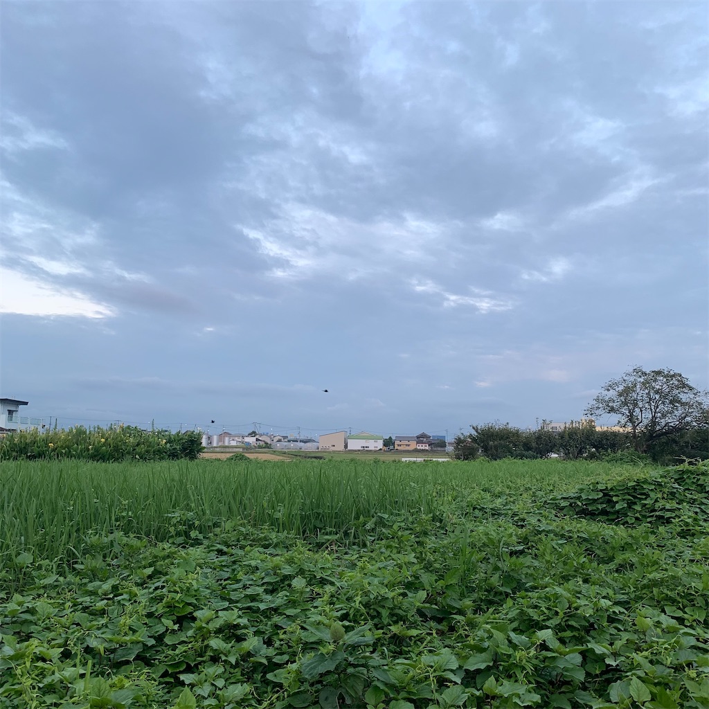 f:id:keikostyle:20210906062840j:image