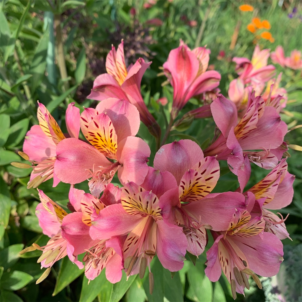 f:id:keikostyle:20210912015400j:image