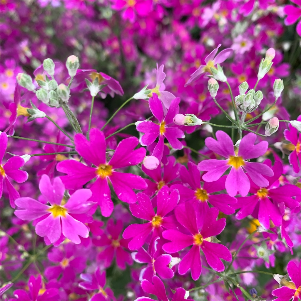 f:id:keikostyle:20210912015404j:image